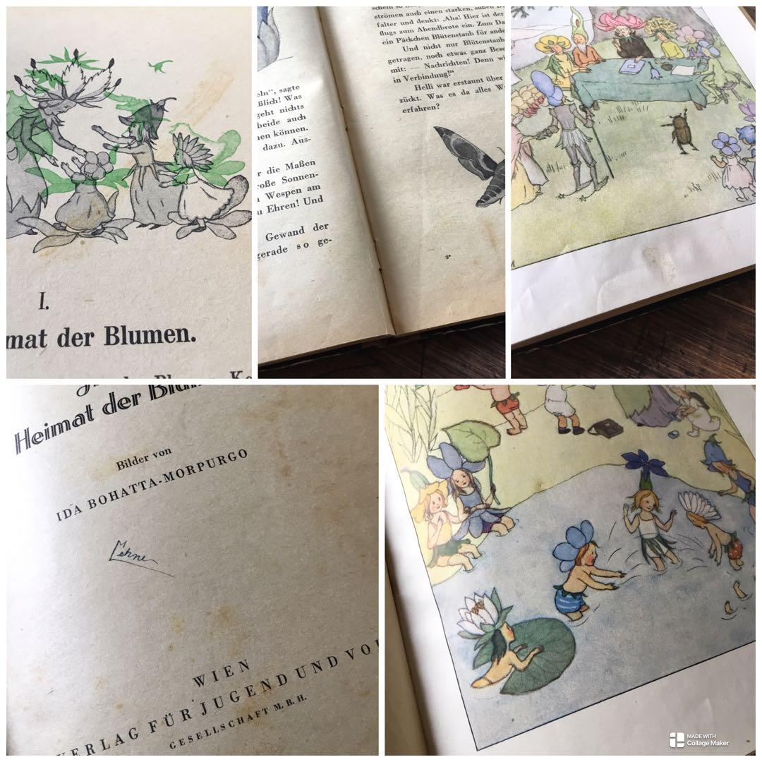 洋書　ドイツ絵本　Ida Bohatta