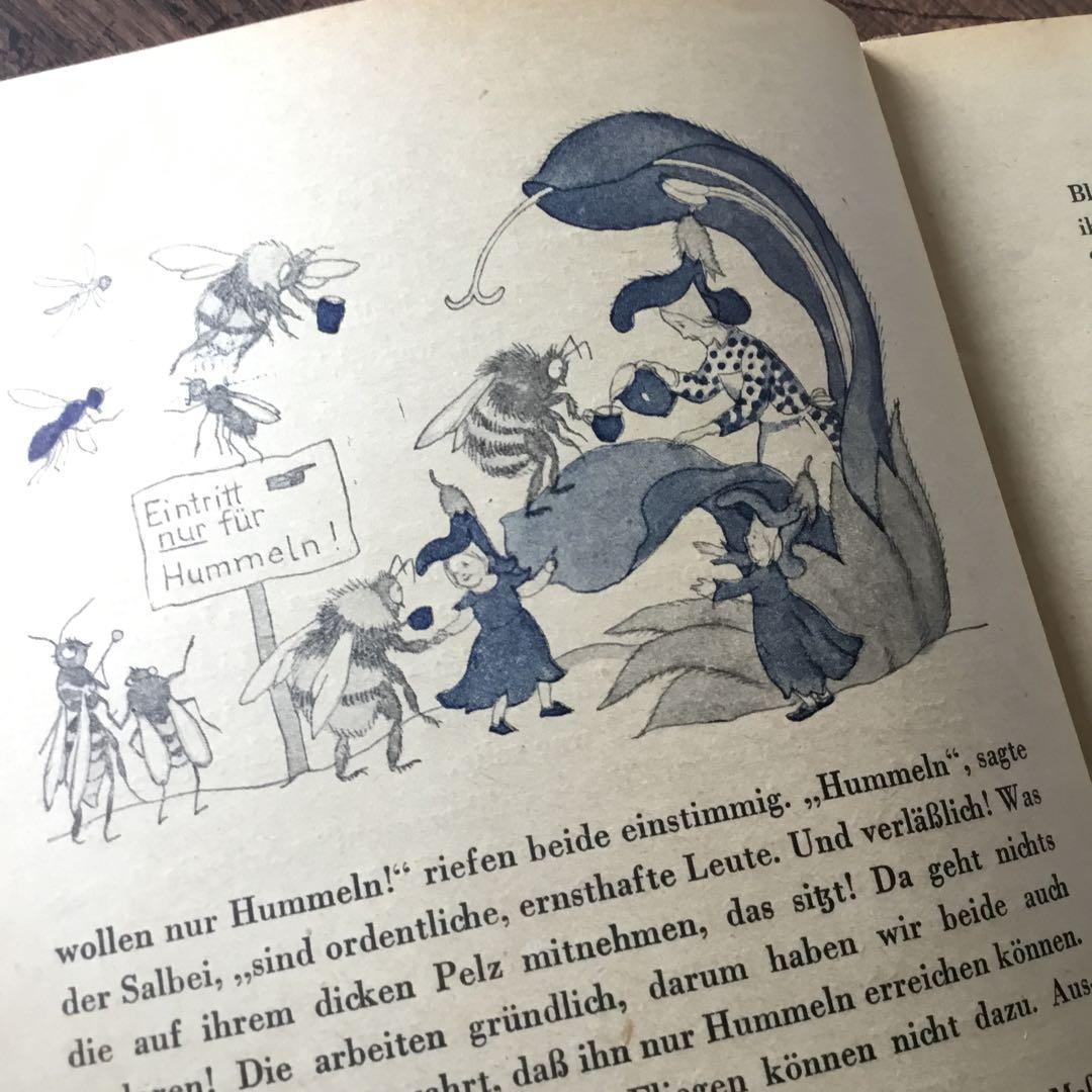 洋書　ドイツ絵本　Ida Bohatta