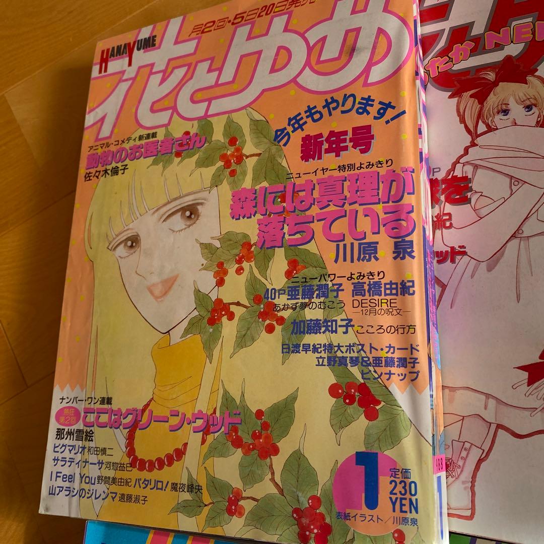 1988年　花とゆめ　佐々木倫子　川原泉　日渡早紀　24冊