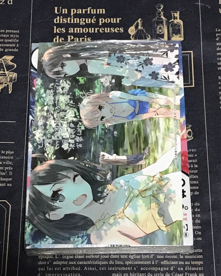 やはり俺の青春ラブコメはまちがっている。 特装版 セット 新品 未開封 俺ガイル