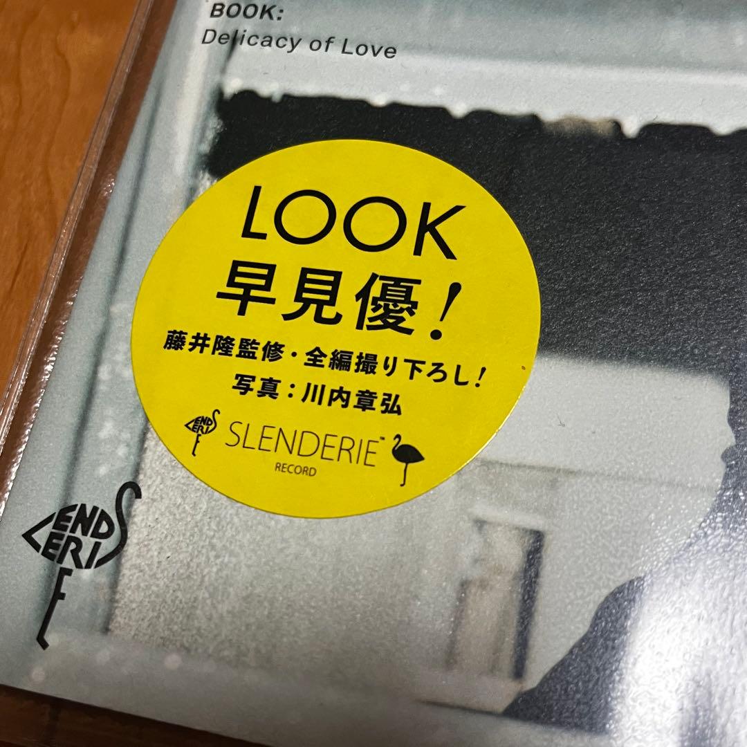 早見優 藤井隆 Delicacy of Love ビジュアルブック　美品