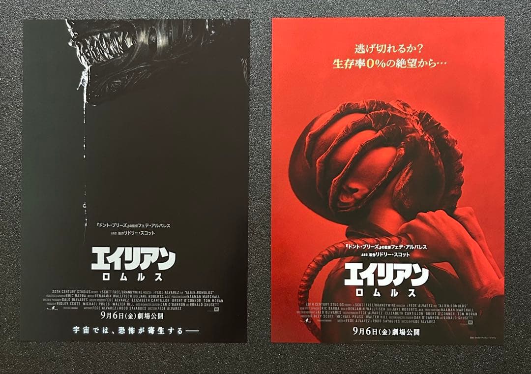 映画チラシ フライヤー 　　　　【 エイリアン 】【 プレデター 】