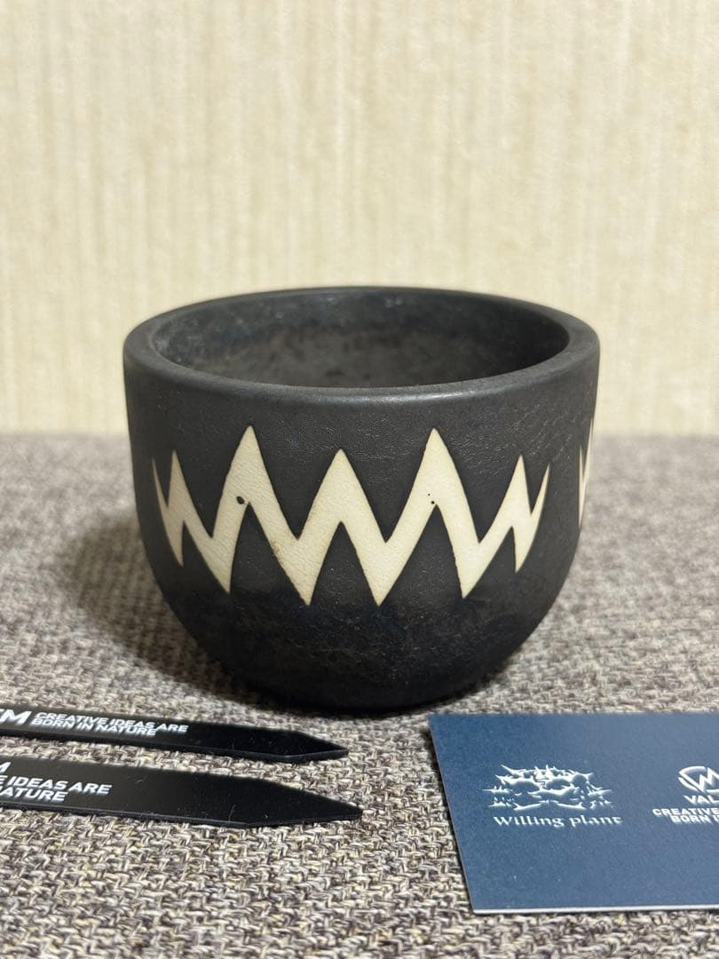 VALIEM BOWL XS willing plant 別注鉢