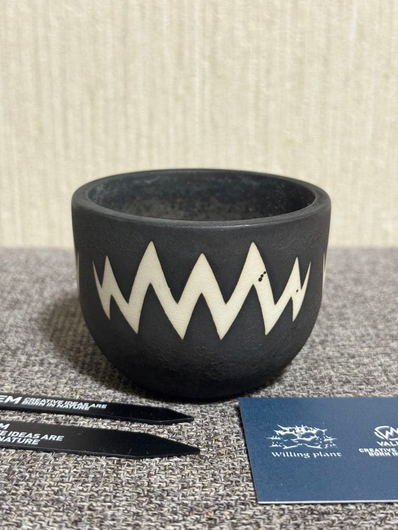 VALIEM BOWL XS willing plant 別注鉢