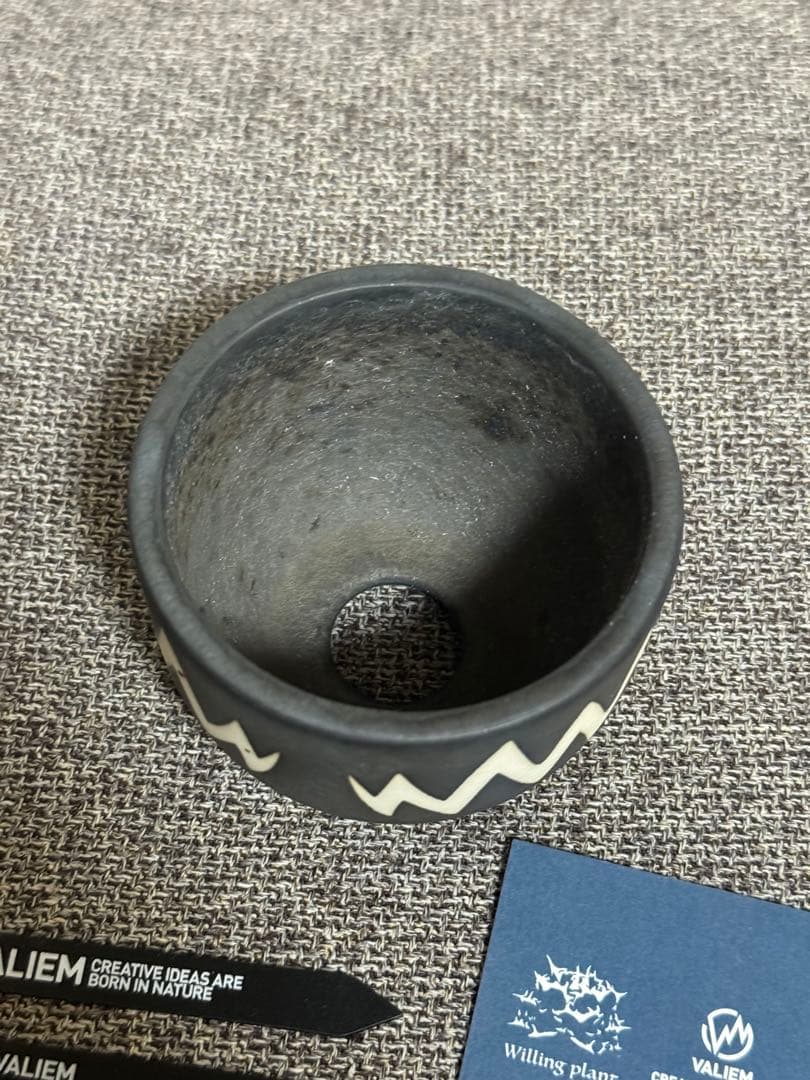 VALIEM BOWL XS willing plant 別注鉢