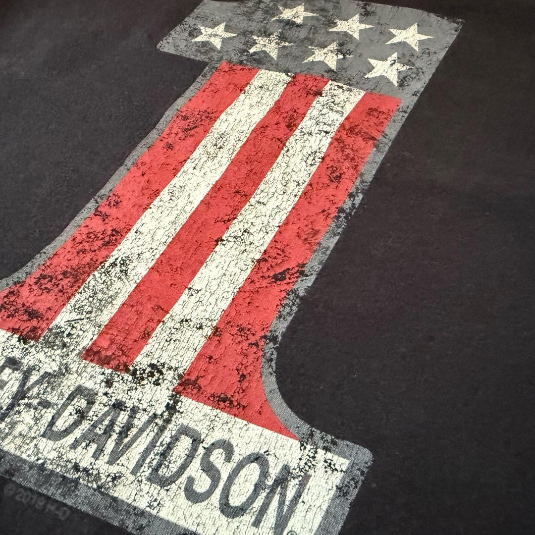 0*5様 Harley‑Davidson #1Stars and Stripes