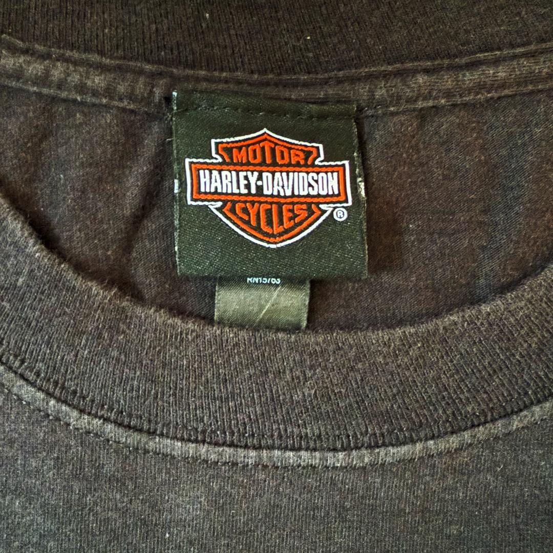 0*5様 Harley‑Davidson #1Stars and Stripes
