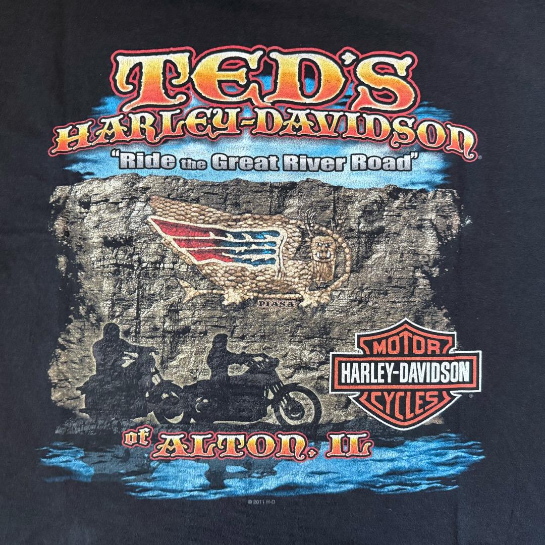 0*5様 Harley‑Davidson #1Stars and Stripes