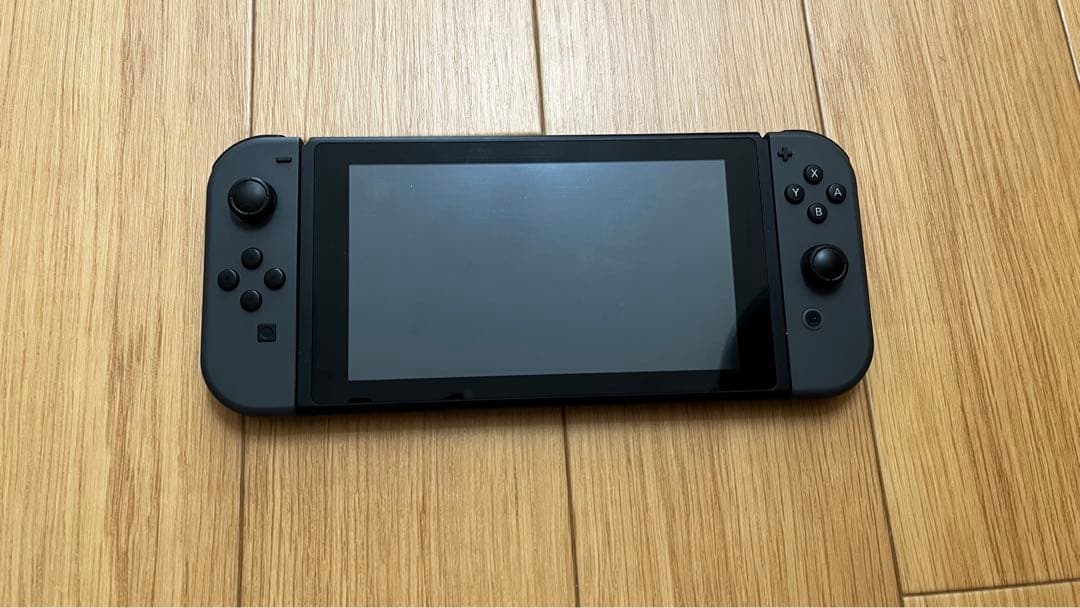 Nintendo Switch グレー　プロコン&中国製コントローラー付き