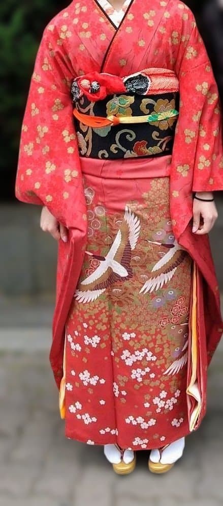 振袖 鶴花模様 成人式