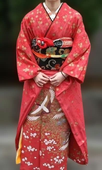 振袖 鶴花模様 成人式