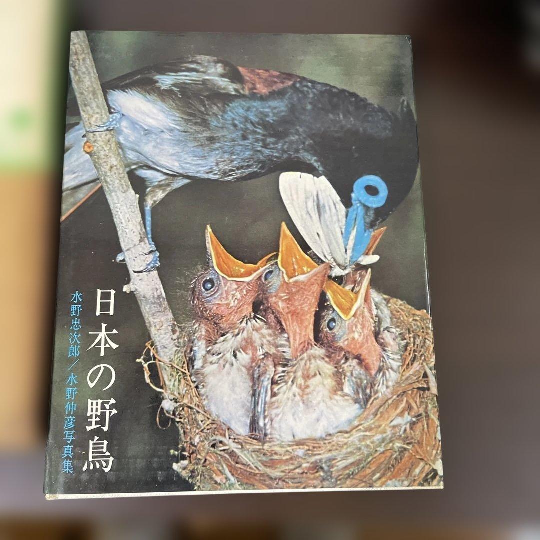 日本の野鳥/水野忠次郎