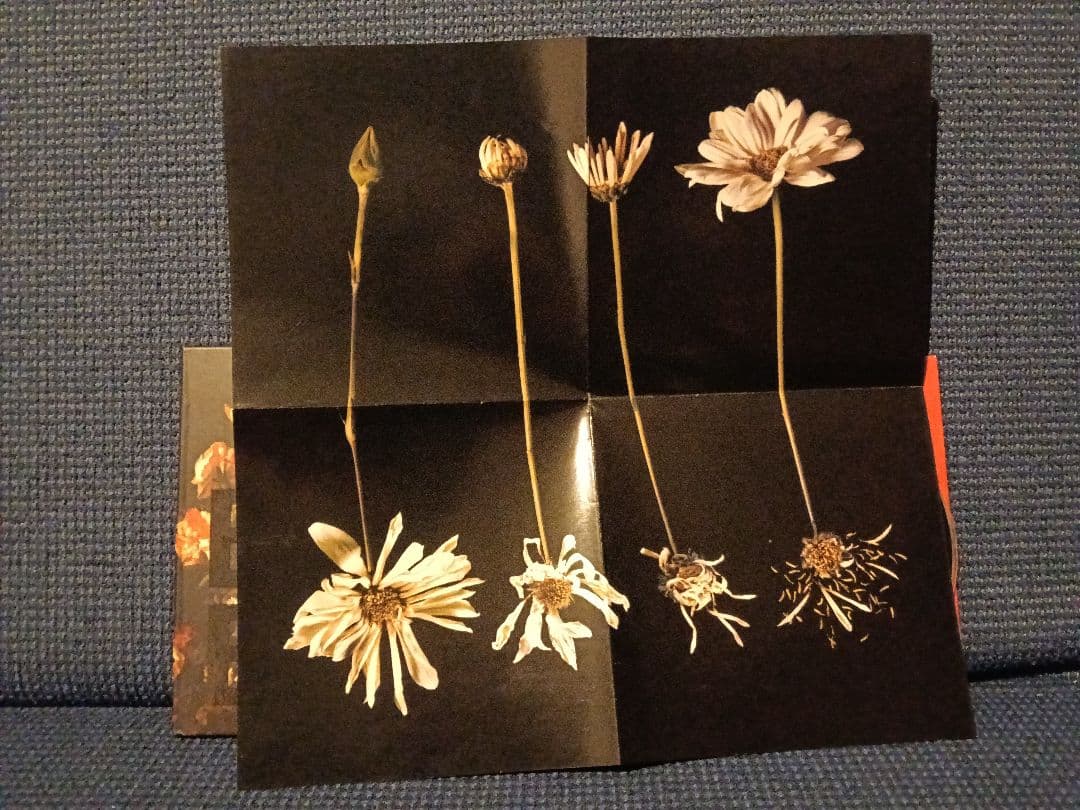 【入手困難】BLU & EXILE Give Me My Flowers〜 CD