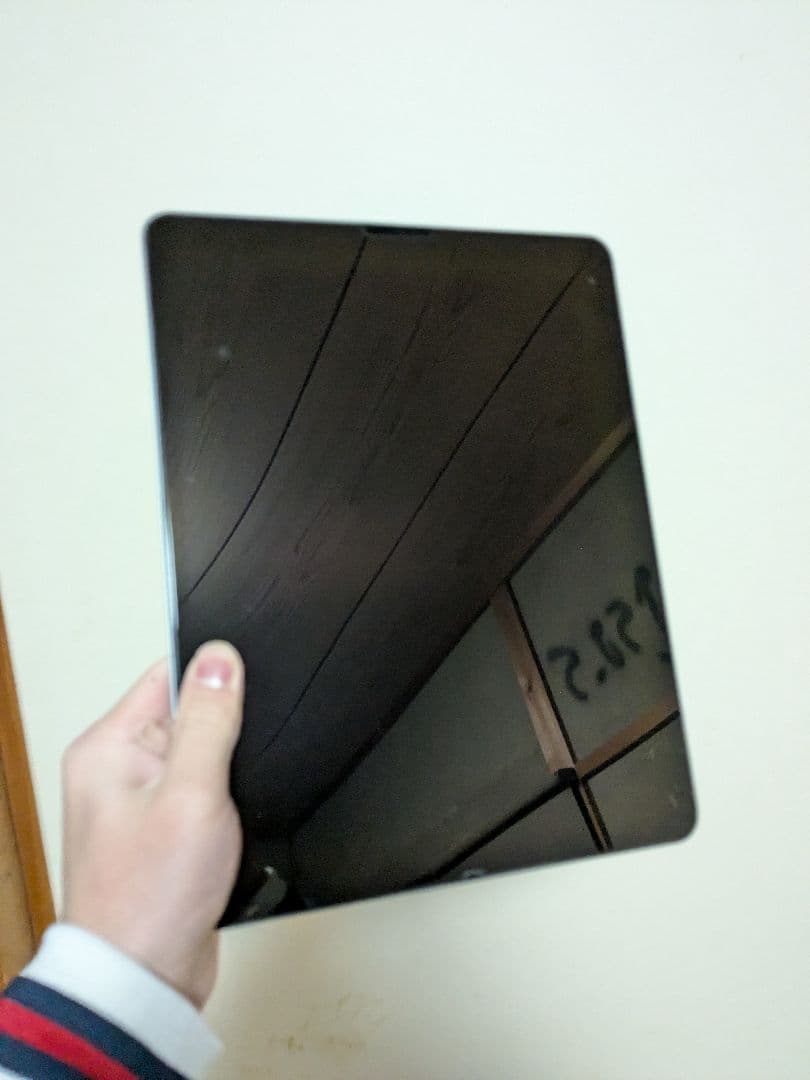 藤*本様 Apple iPad Proスペースグレイ