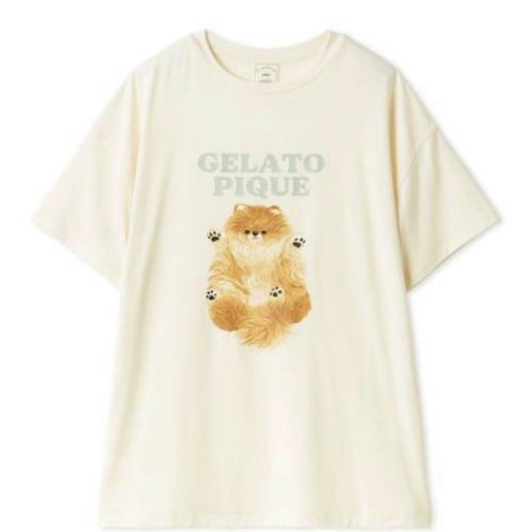 【新品】ジェラートピケ　ポメラニアンワンポイントTシャツ&総柄ロングパンツ