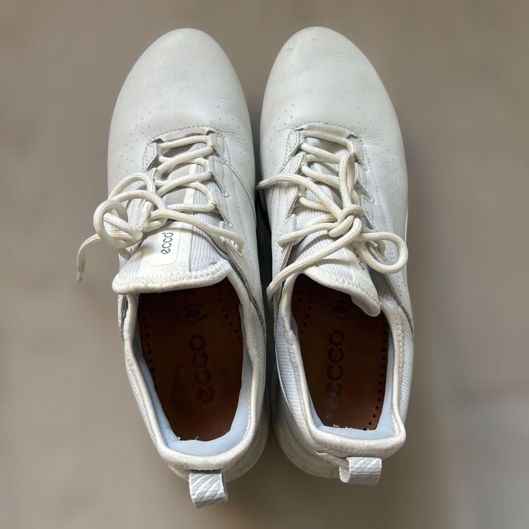 Ecco Biom ゴルフシューズ 24.5cm