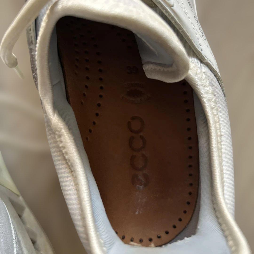 Ecco Biom ゴルフシューズ 24.5cm