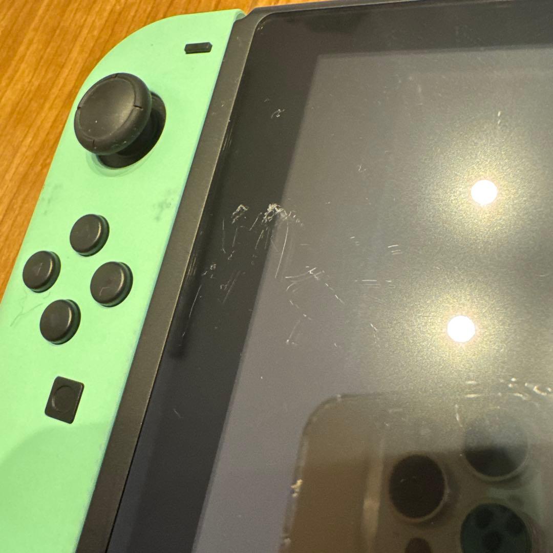 Switch 本体 あつまれどうぶつの森 キャリングケース セット
