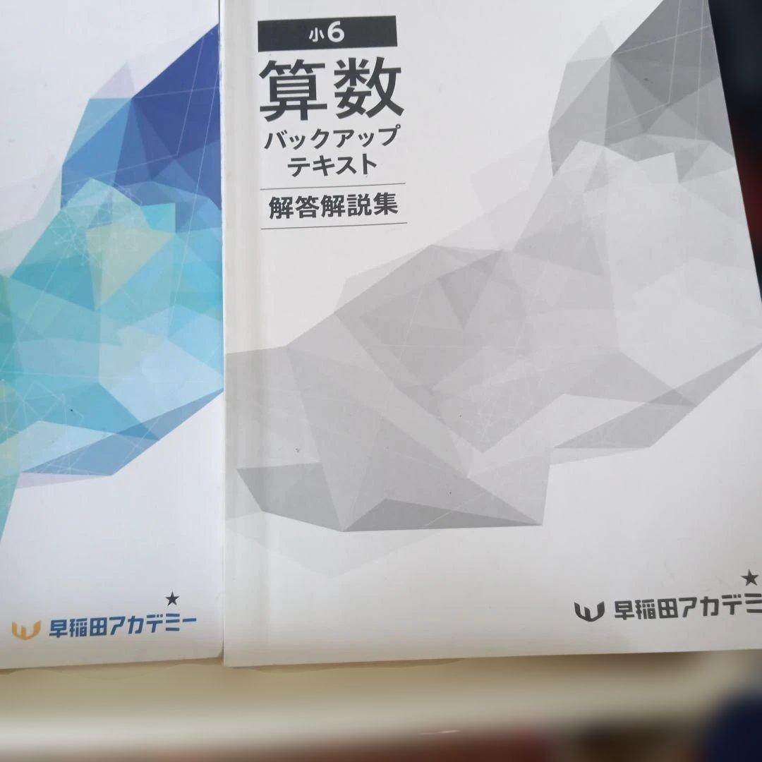 非売品　早稲田アカデミー　小6 算数　　　　　　 バックアップ テキスト改訂版