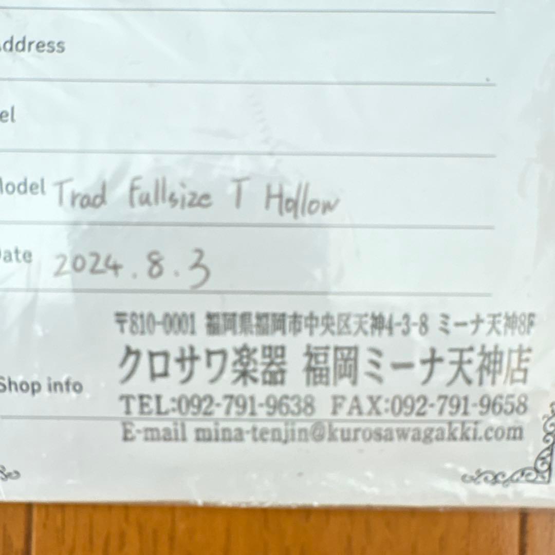 ギター infinite trad fullsize T hollow
