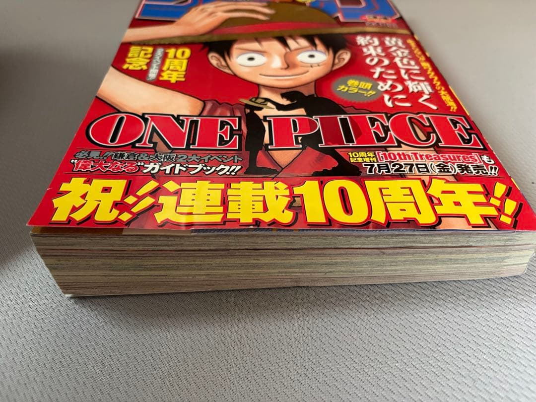 ポ*ョ様 ONE PIECE 34号 10周年記念