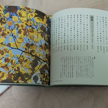 俳句草木花歳時記 春夏秋冬