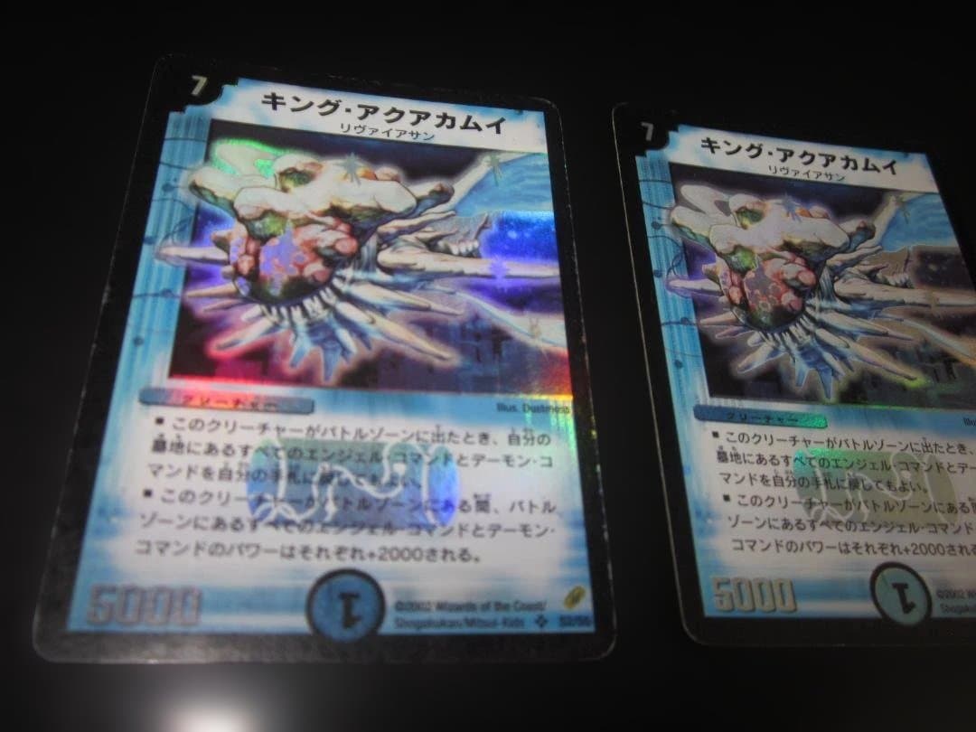 キング・アクアカムイ　整理番号、DM-69-1