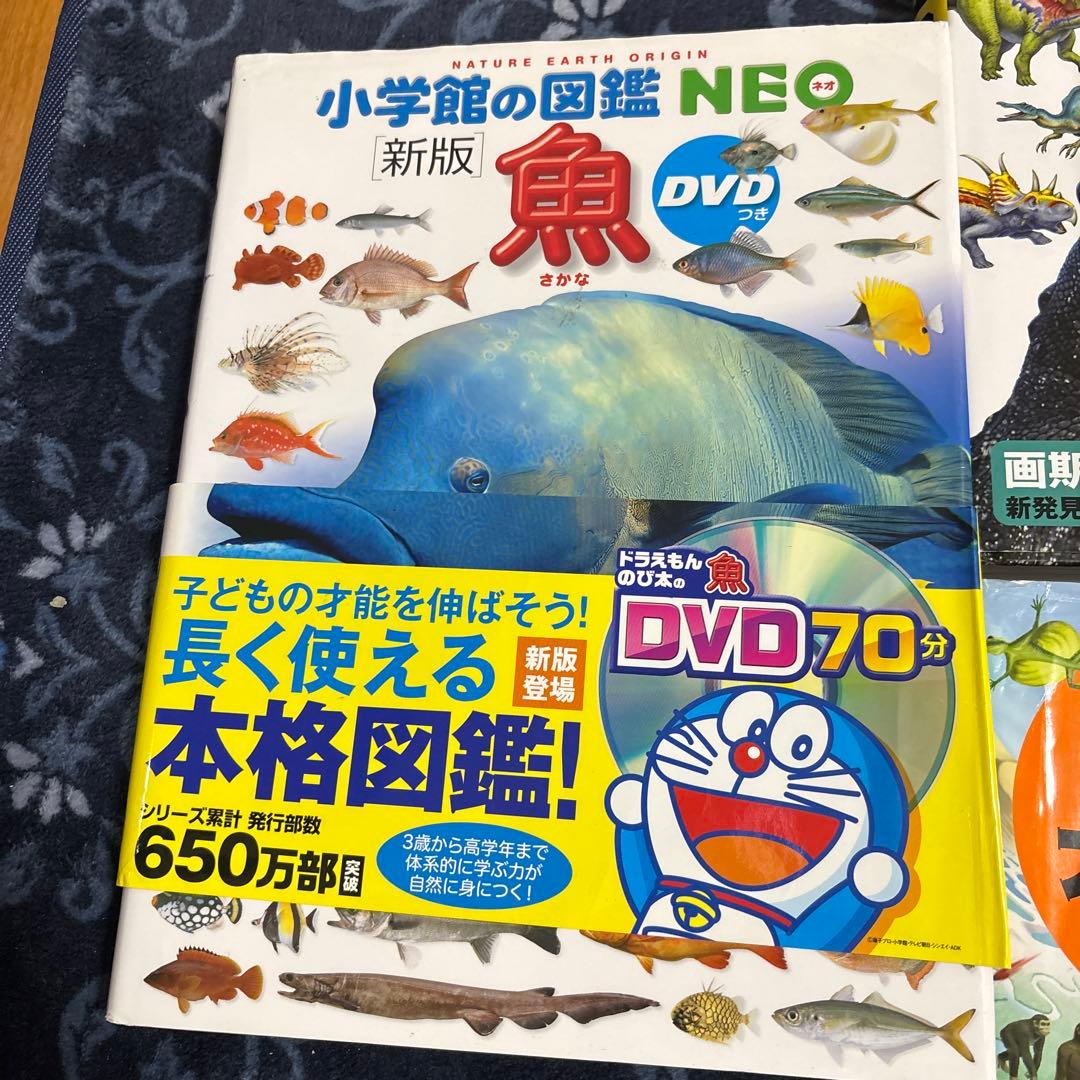 美品あり⭐︎図鑑7冊【全てDVD付】おまとめセット