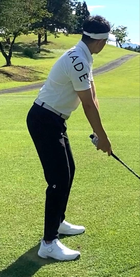TaylorMade 上下セット ポロシャツ パンツ セットアップ L