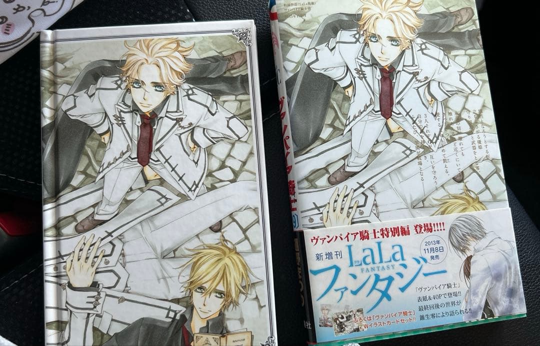 ヴァンパイア騎士 19巻 限定版　画集　画集付き
