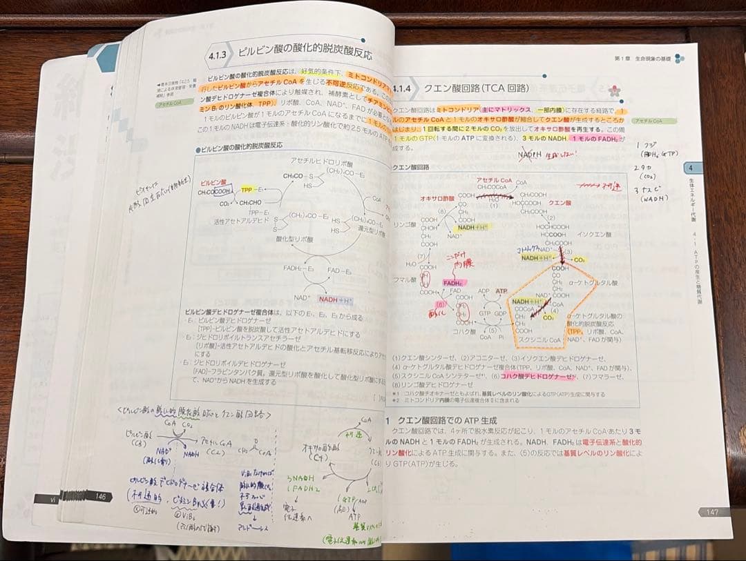 薬ゼミ　第111回薬剤師国家試験対策参考書　青本・青問全巻セット