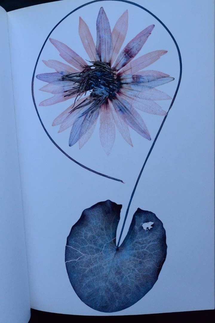 【Flora / Nick Knight】ニック・ナイト ★★未読品・美本