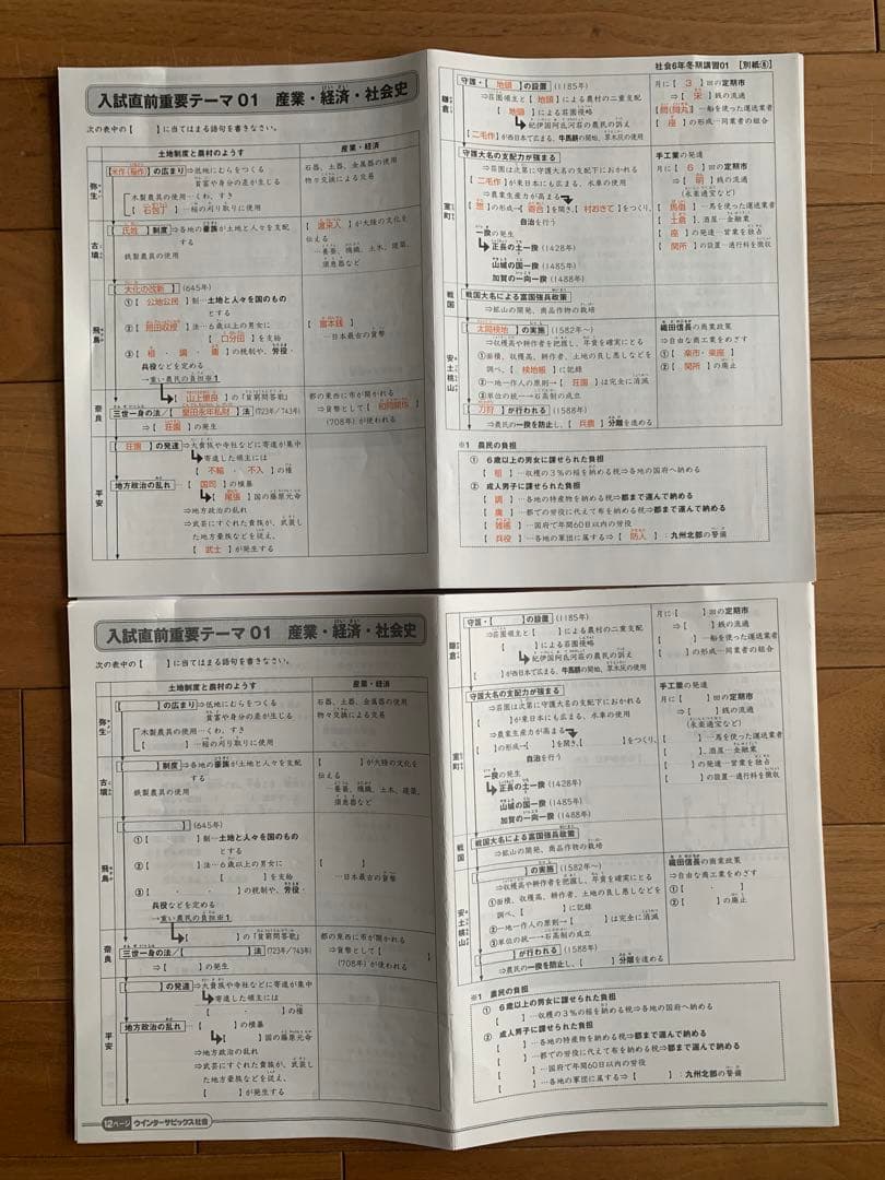 サピックス　6年社会　入試直前　用語まとめ　デイリー　夏期地理ステップ