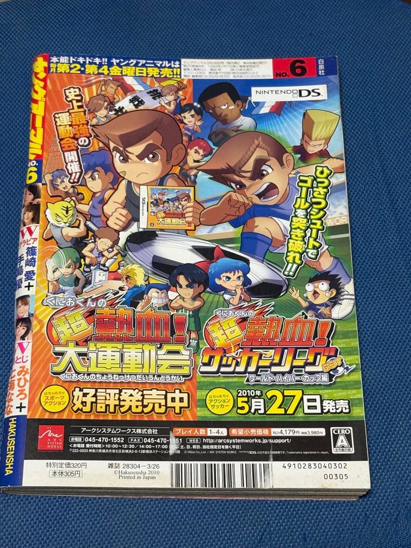 ヤングアニマル 2010年No.6 篠崎愛 みひろ 七海なな 手島優