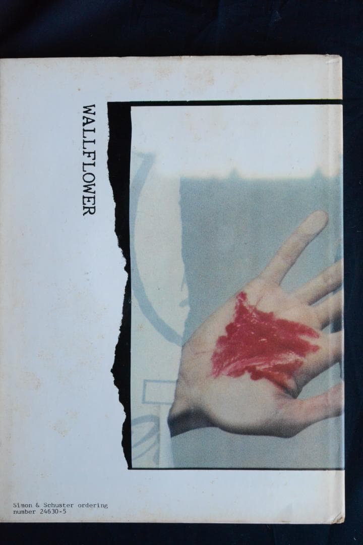 Deborah Turbeville: Wallflowerデボラ・ターバヴィル