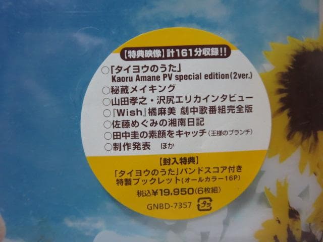 【セル版/美品】タイヨウのうた A Song to the Sun DVD