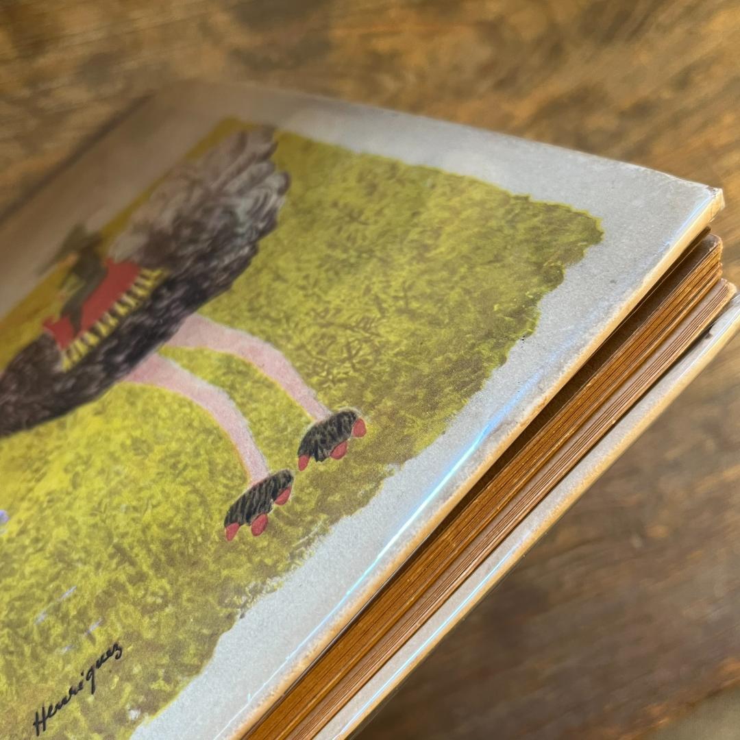 絵本・児童書 Contes pour enfants pas sages