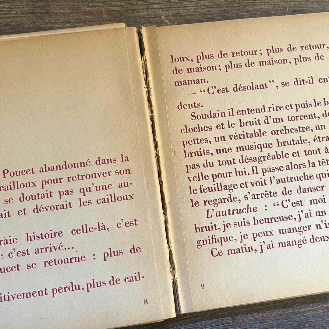 絵本・児童書 Contes pour enfants pas sages