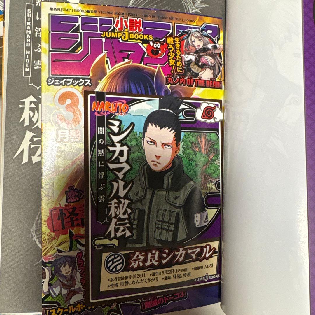NARUTO 全巻セット　関連本付き