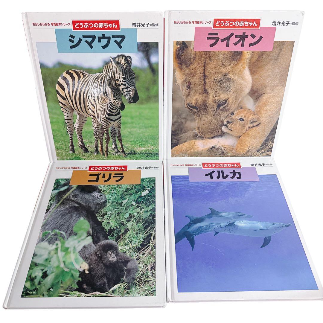 ちがいがわかる写真絵本シリーズ どうぶつの赤ちゃん 7冊セット