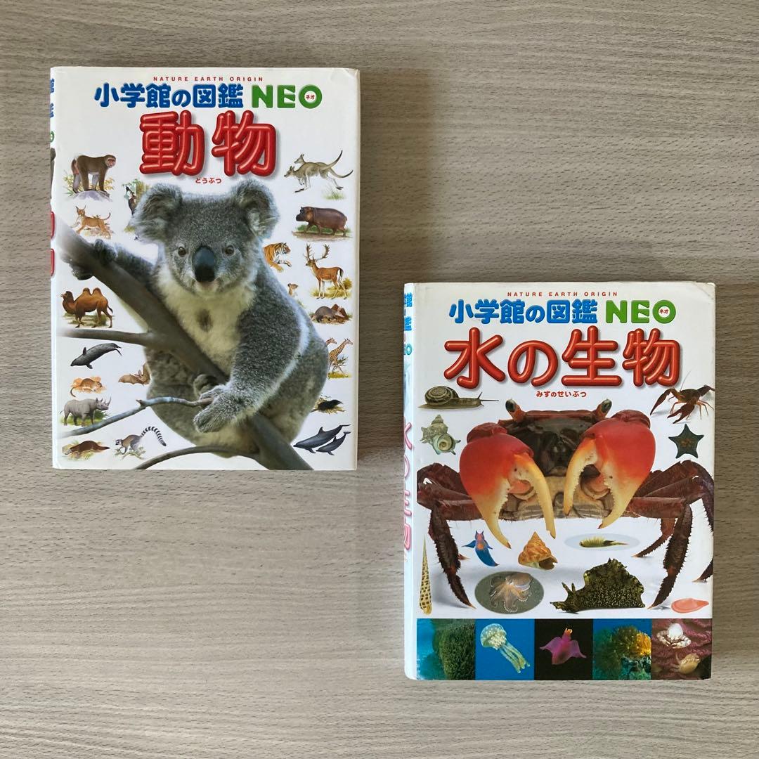 小学館の図鑑 まとめ売り NEO・NEO＋ぷらす・プレNEO 計12冊セット