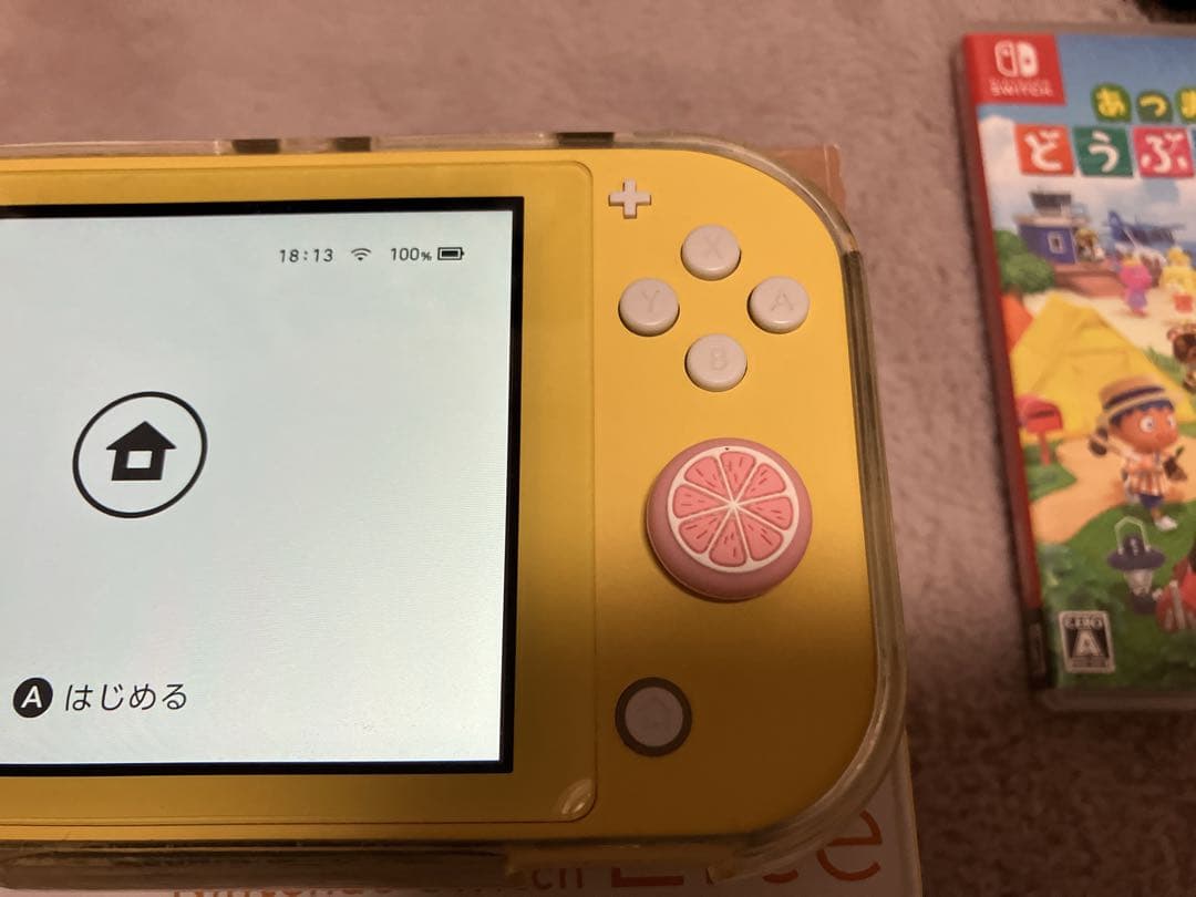 Switch Lite 本体 どうぶつの森 ソフト 攻略本 ケース まとめ売り