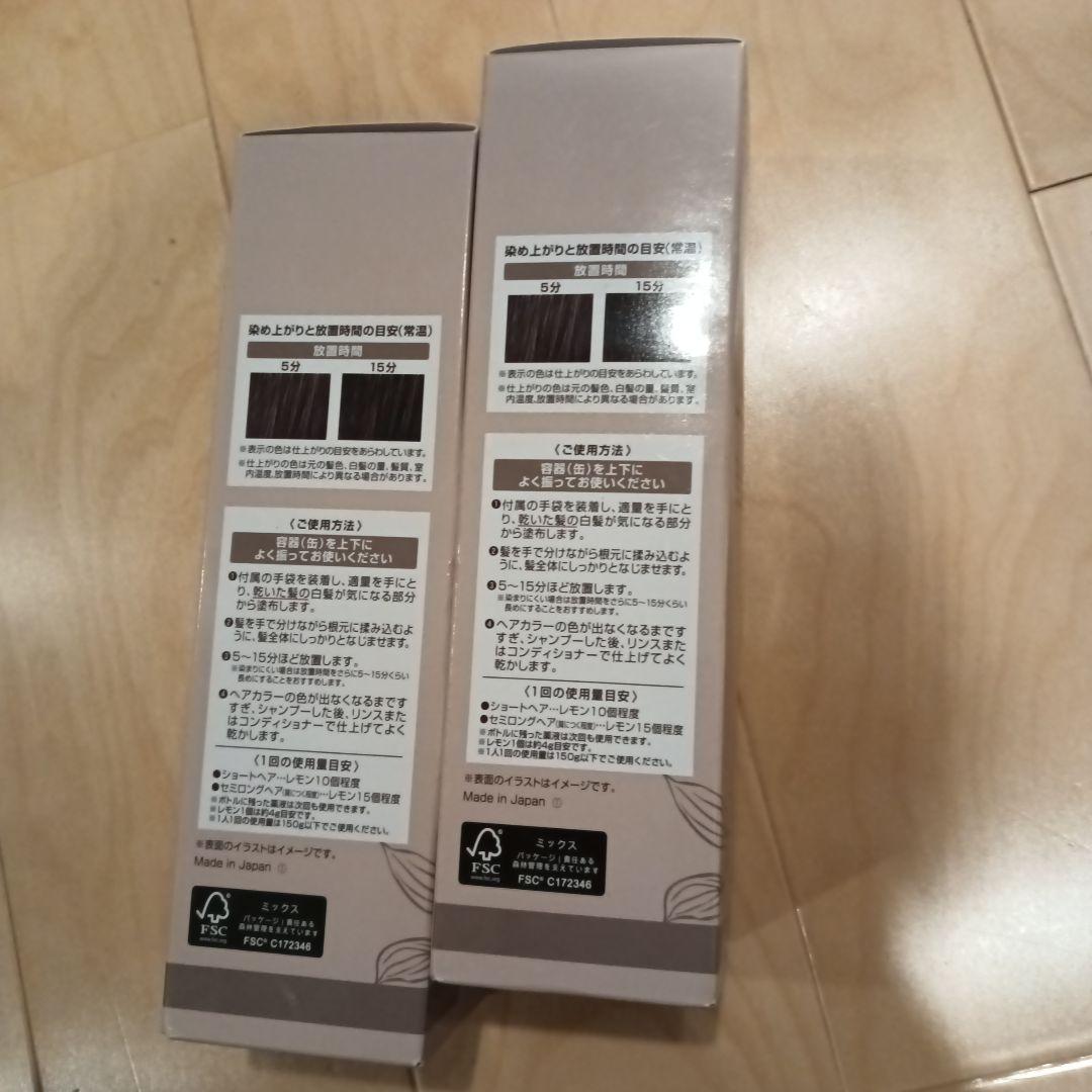 ヘアビューティーエクラ ボタニカルエアカラーフォーム 150g DB 2本セット