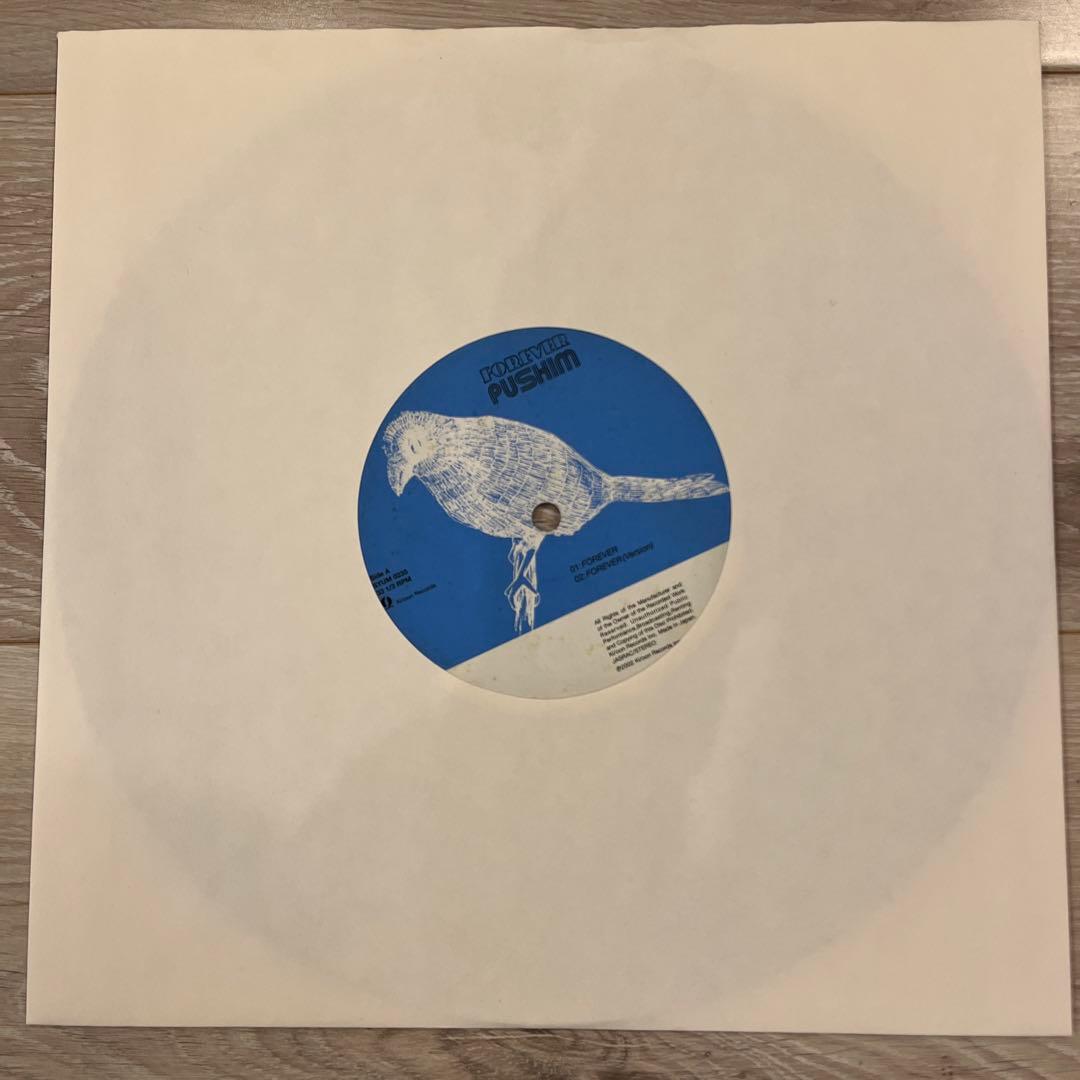 J*J様 pushim レコード forever 10inch ジャパレゲ レゲ
