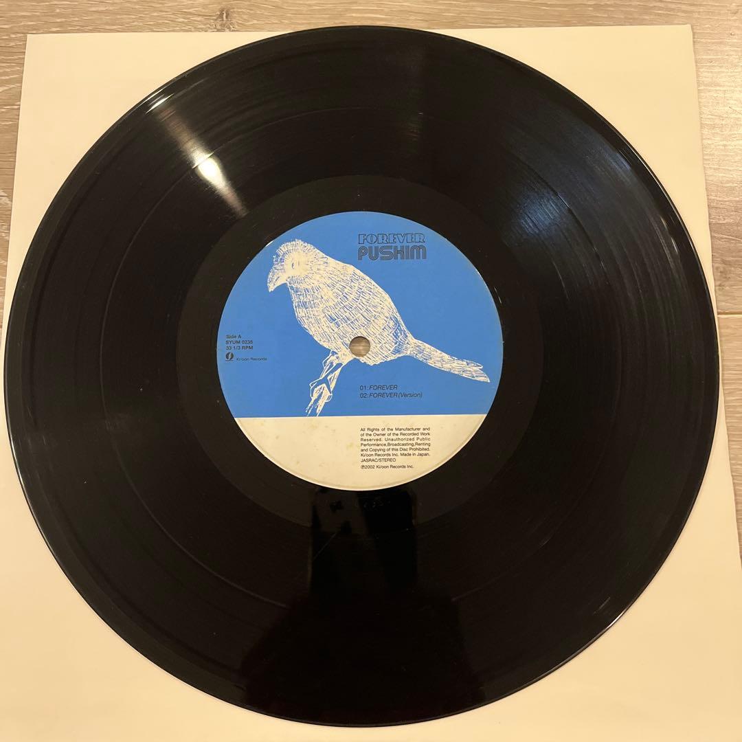 J*J様 pushim レコード forever 10inch ジャパレゲ レゲ
