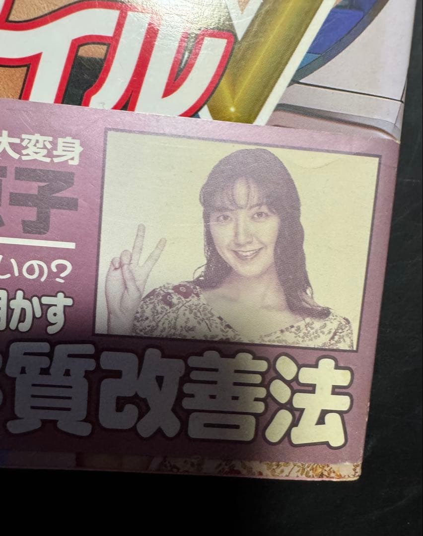 ねこプロ流 パチンコ必勝スタイルV 浅井美恵子 双葉社