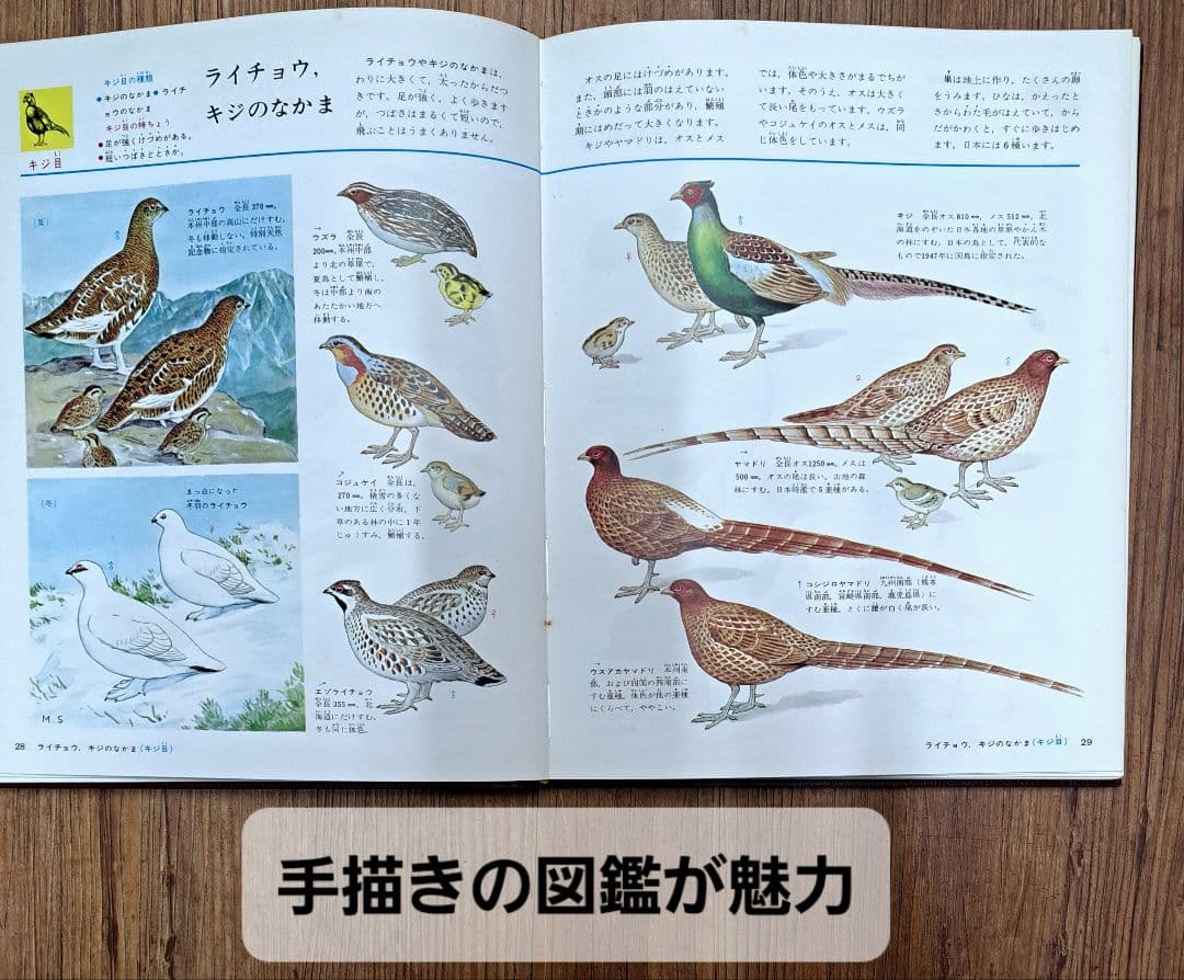 再値下げ　レトロ　カラー図鑑百科全24巻セット　世界文化社　事典　古書　希少