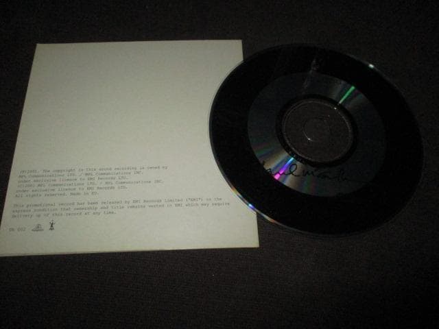 paul mccartney driving rain (RARE送料込!!)
