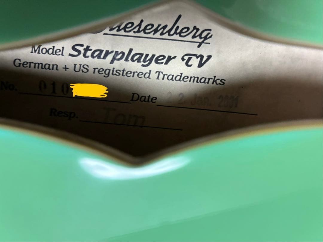 ギター Duesenberg Starplayer TV SurfGreen