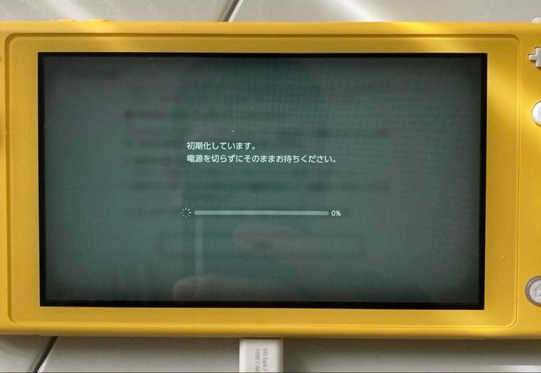 【動作確済】ニンテンドースイッチ　ライト　Switch モンハン　ライズ　セット